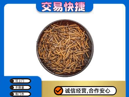 镇赉县回收散虫草
